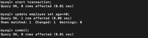 トランBが age=40 に更新してコミット